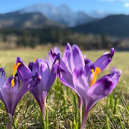 Radisson Blu & Residences Hotel Zakopane